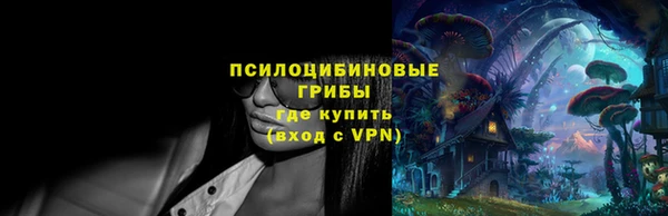 СК Вязники