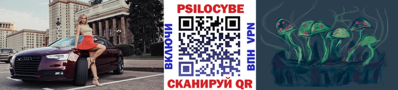 Купить  Тимашёвск  Галлюциногенные грибы прущие грибы 